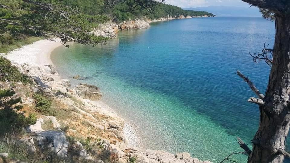 Apartments Adriatic Селце Экстерьер фото