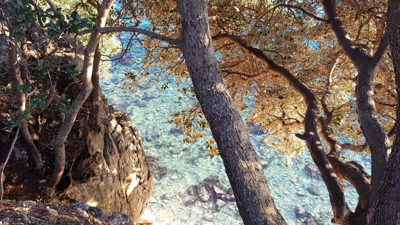 Apartments Adriatic Селце Экстерьер фото